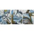 CUADRO_CANVAS_60X80X2.3CM