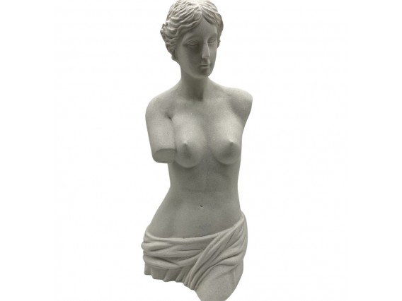 VENUS 47CM