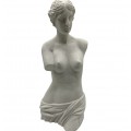 VENUS 47CM