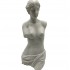 VENUS 47CM