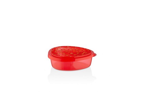 ENVASE_C/TAPA_28.6*20.5*9.7CM