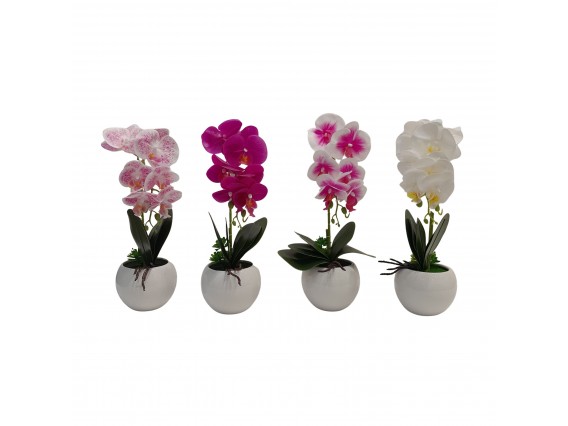 ORQUIDEA 37CM 4SURT