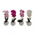 ORQUIDEA 37CM 4SURT