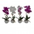 ORQUIDEA 40CM 4SURT