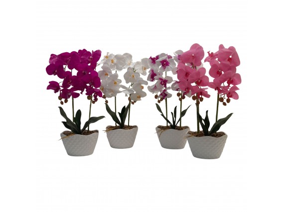 ORQUIDEA 45CM 4SURT