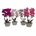ORQUIDEA 45CM 4SURT