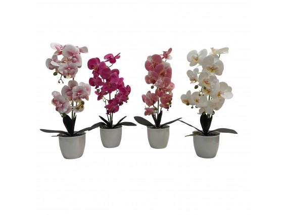 ORQUIDEA 46CM 4SURT