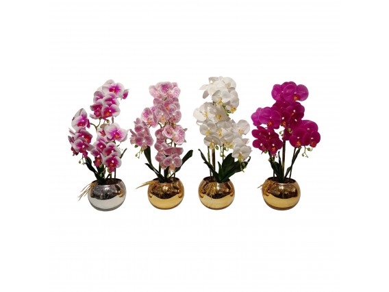 ORQUIDEA 45CM 4SURT