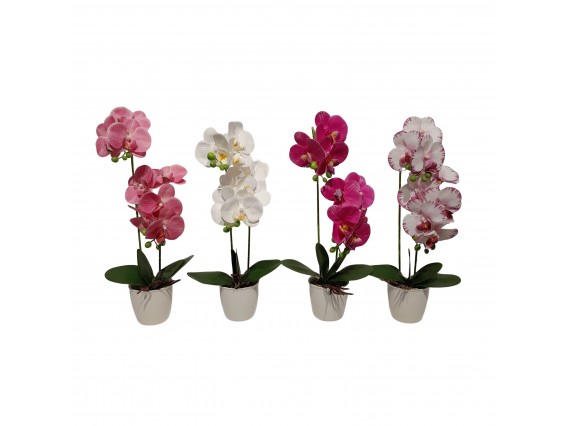 ORQUIDEA 47CM 4SURT