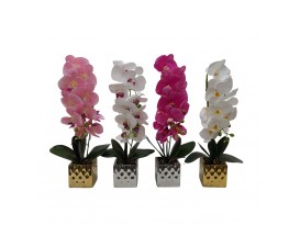 ORQUIDEA 50CM 4SURT