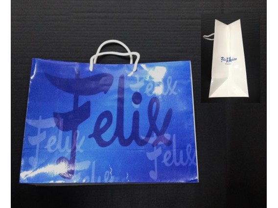 Bolsa de Papel Personalizada 38.5X30.5X15.5CM, Con Cordon y Laminado Brillante